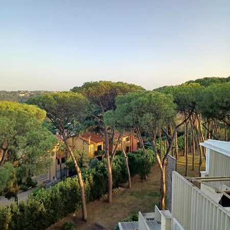 Nerone Ai Pini Roma